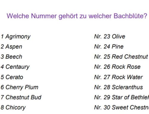 Zuordnung Bachblüten: Nummer-Name